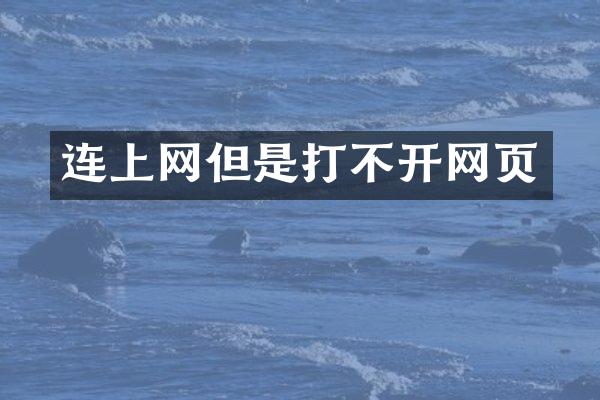 连上网但是打不开网页