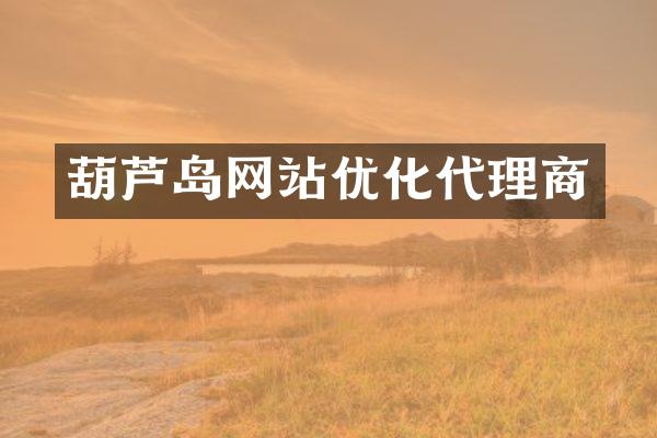 葫芦岛网站优化代理商