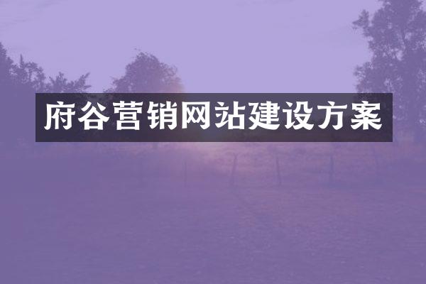 府谷营销网站建设方案