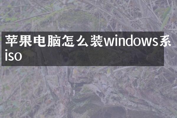 苹果电脑怎么装windows系统iso