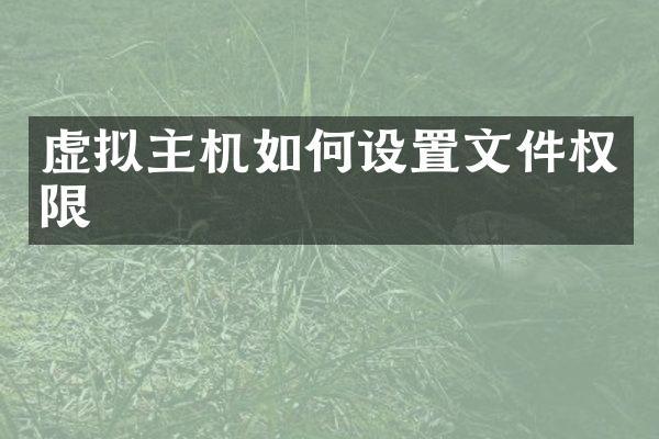 虚拟主机如何设置文件权限