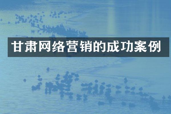 甘肃网络营销的成功案例