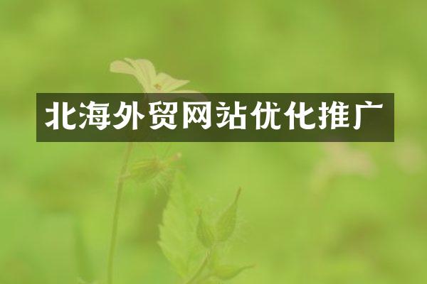 北海外贸网站优化推广