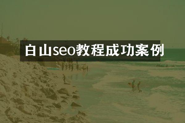 白山seo教程成功案例
