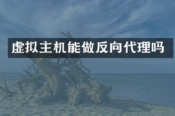 虚拟主机能做反向代理吗