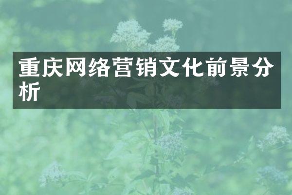 重庆网络营销文化前景分析