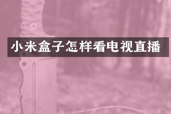 小米盒子怎样看电视直播