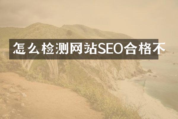 怎么检测网站SEO合格不