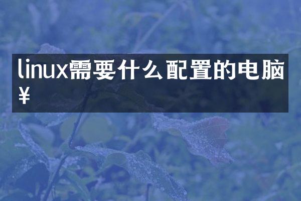 linux需要什么配置的电脑好