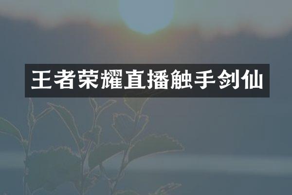 王者荣耀直播触手剑仙
