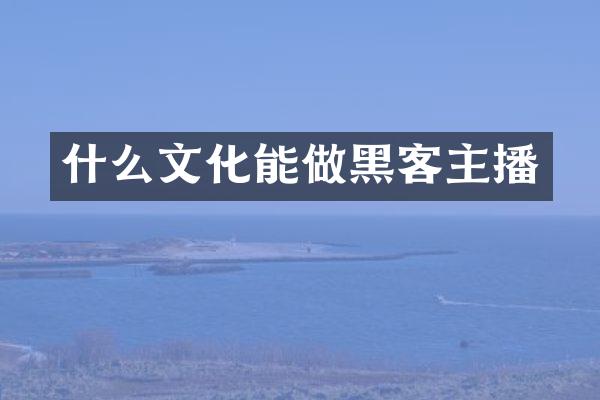 什么文化能做黑客主播