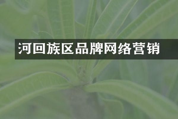 瀍河回族区品牌网络营销