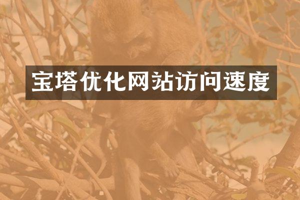 宝塔优化网站访问速度