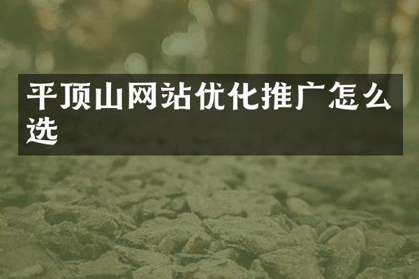 平顶山网站优化推广怎么选