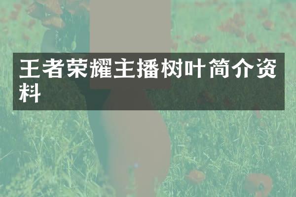 王者荣耀主播树叶简介资料