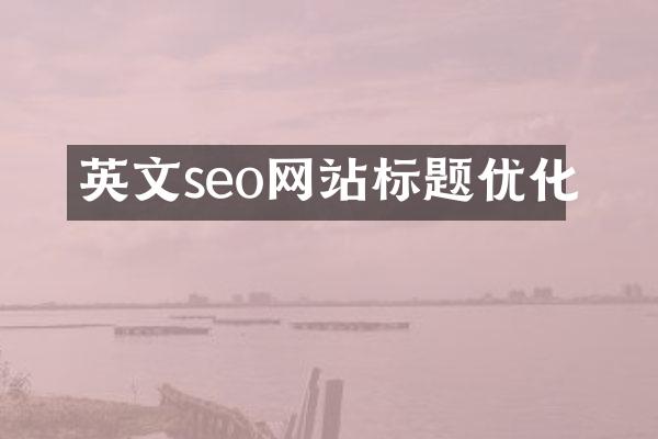 英文seo网站标题优化