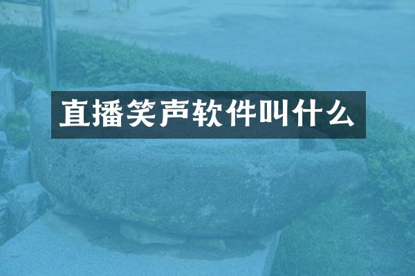 直播笑声软件叫什么