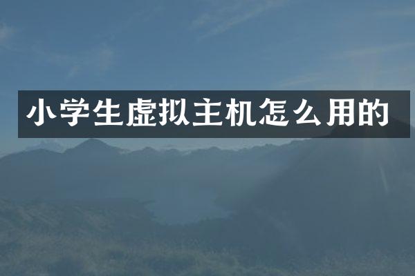 小学生虚拟主机怎么用的