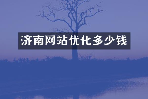 济南网站优化多少钱