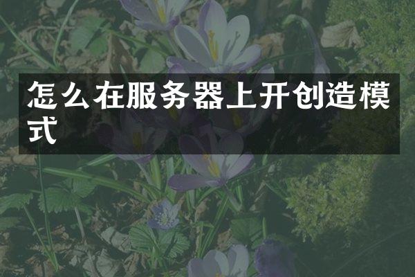 怎么在服务器上开创造模式