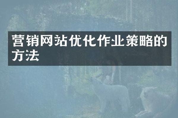营销网站优化作业策略的方法
