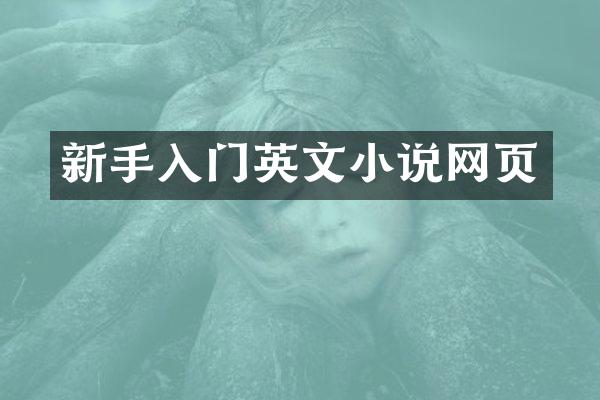 新手入门英文小说网页