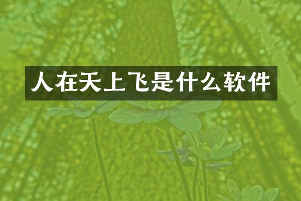 人在天上飞是什么软件