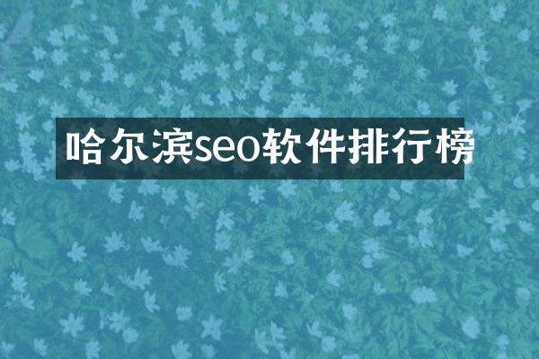 哈尔滨seo软件排行榜