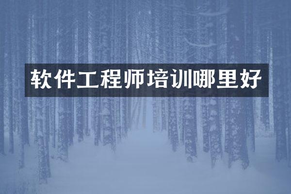 软件工程师培训哪里好
