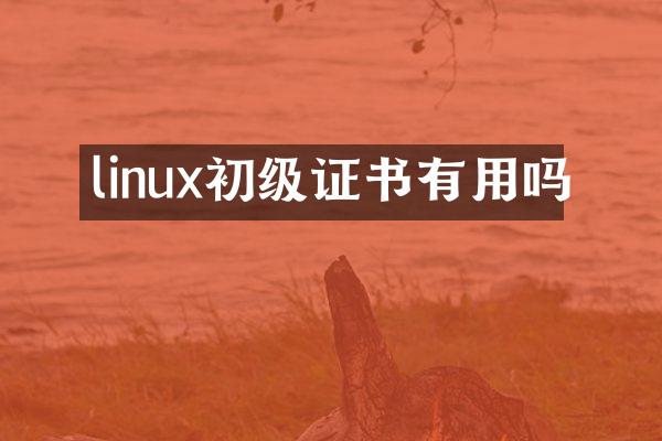 linux初级证书有用吗