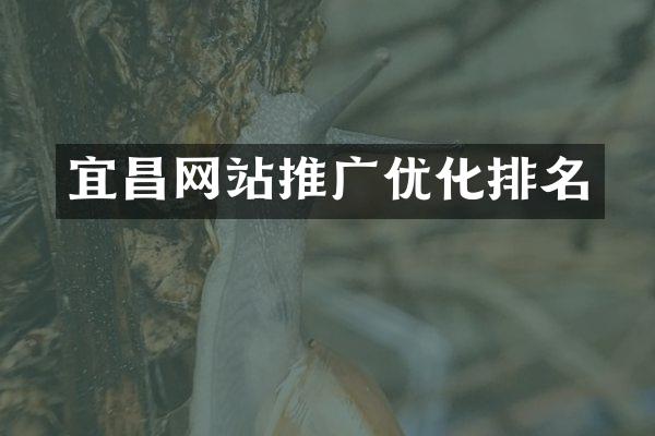 宜昌网站推广优化排名
