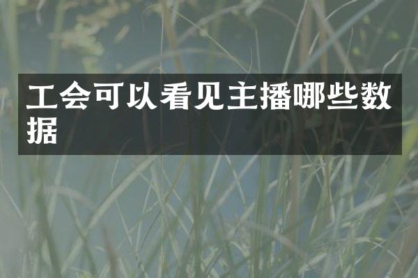 工会可以看见主播哪些数据