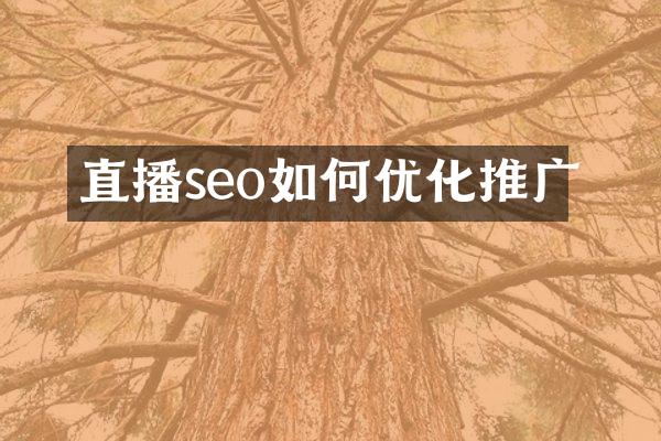 直播seo如何优化推广