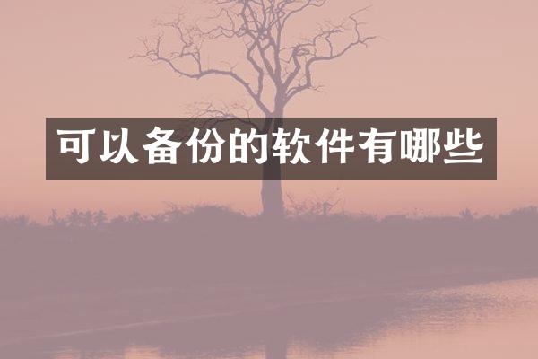 可以备份的软件有哪些