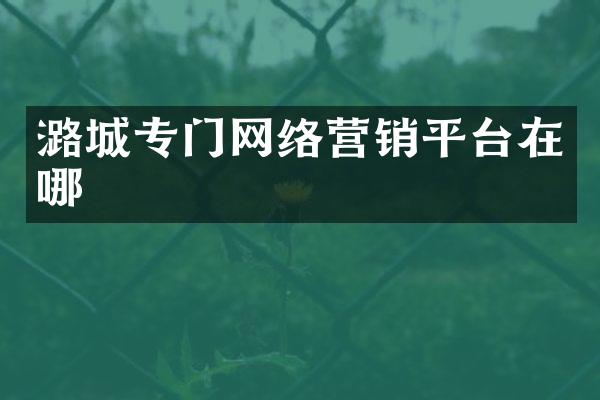 潞城专门网络营销平台在哪