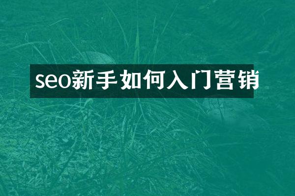 seo新手如何入门营销