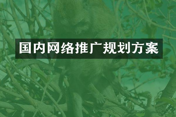 国内网络推广规划方案