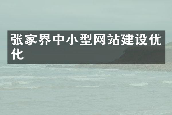 张家界中小型网站建设优化