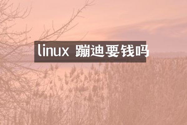 linux 蹦迪要钱吗