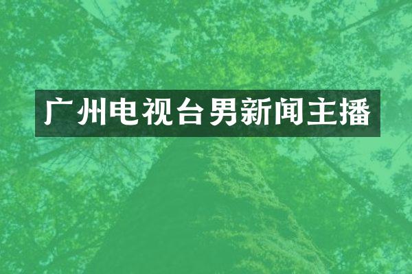 广州电视台男新闻主播