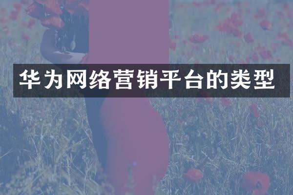 华为网络营销平台的类型