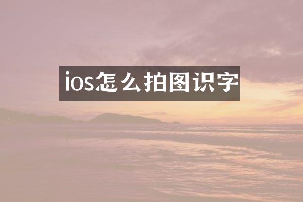ios怎么拍图识字