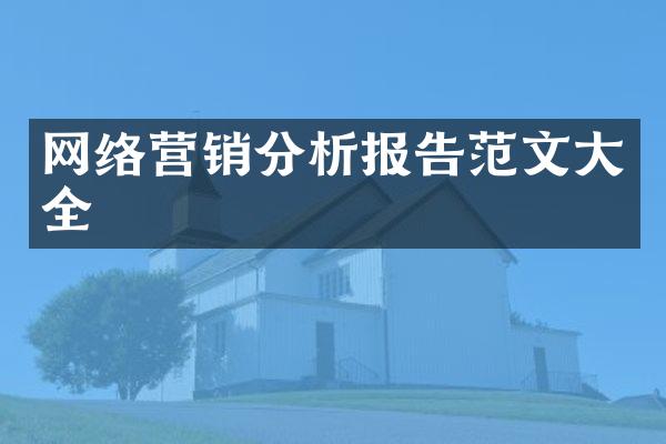 网络营销分析报告范文大全