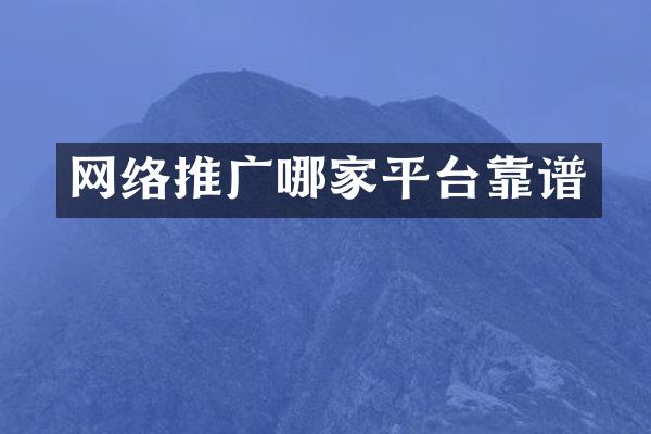 网络推广哪家平台靠谱