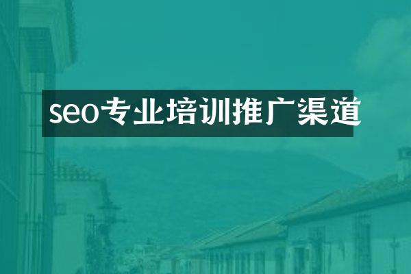 seo专业培训推广渠道