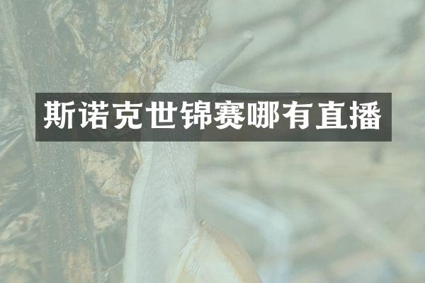 斯诺克世锦赛哪有直播