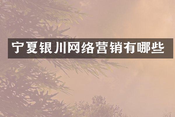 宁夏银川网络营销有哪些