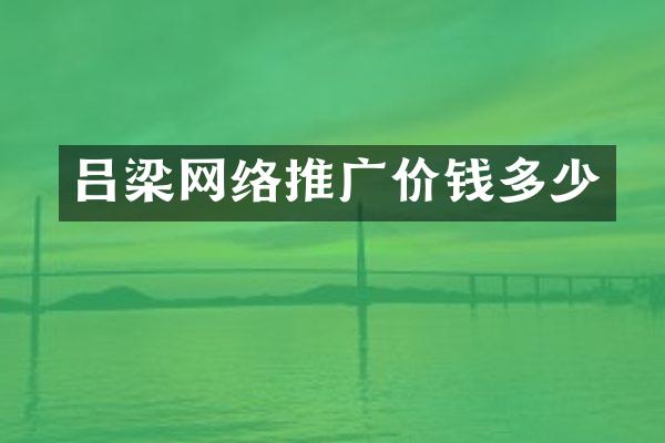 吕梁网络推广价钱多少