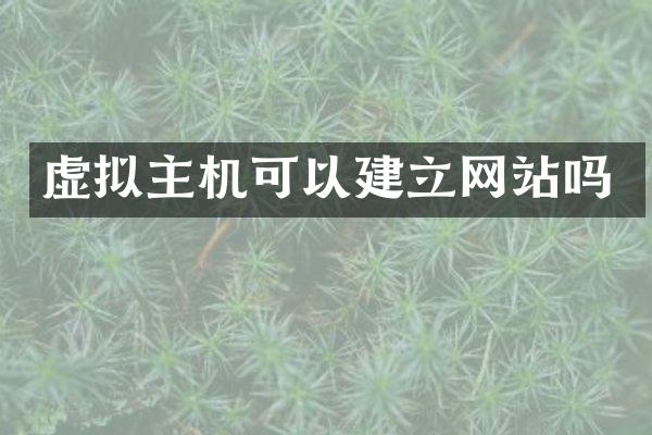 虚拟主机可以建立网站吗