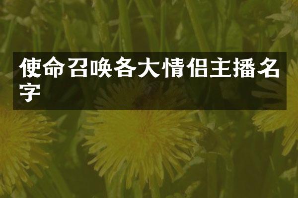 使命召唤各大情侣主播名字
